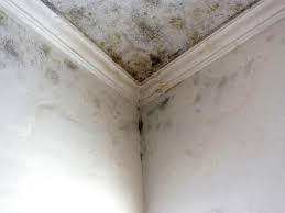 Best Air Quality Testing for Mold Spores  in , MO